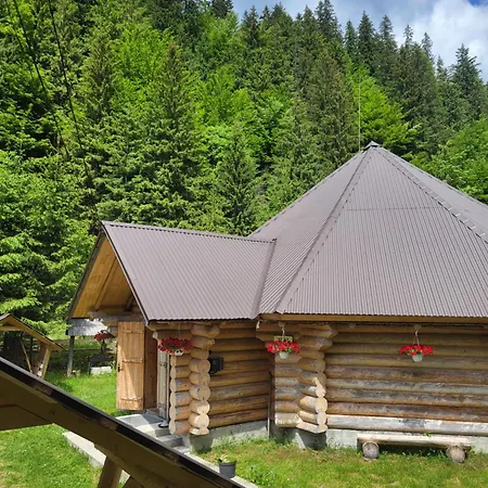 Pensionat бокораш біля тереблі *