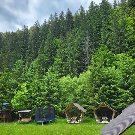 бокораш біля тереблі * Synevyr