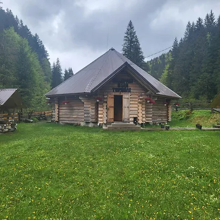 бокораш біля тереблі * Synevyr