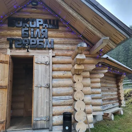 Pensionat бокораш біля тереблі