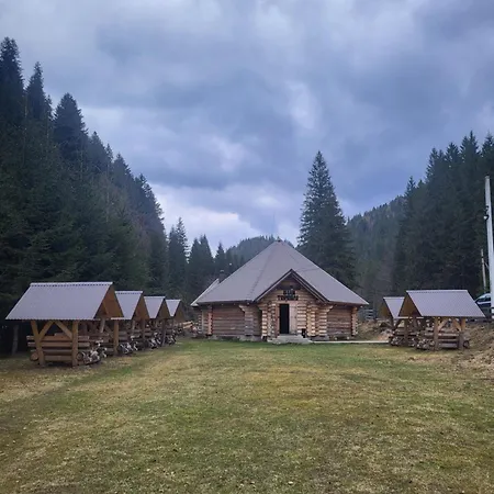 бокораш біля тереблі Synevyr